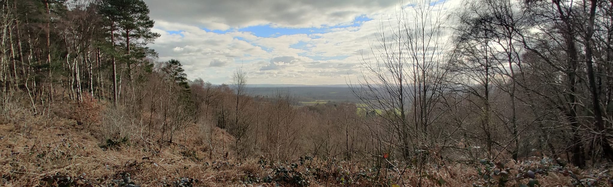 The Greensand Way Shamley Green to High Ashes Hill 878 Fotos Surrey