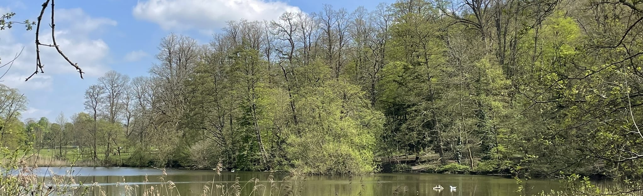 Priory and Reigate Park Circular 61 Fotos Surrey, England AllTrails