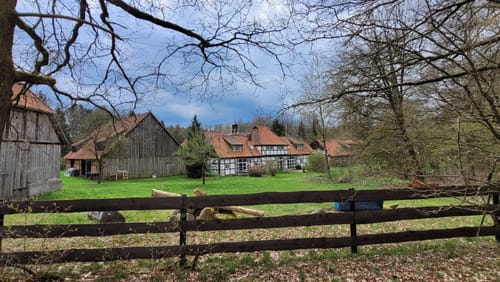 Heidschnuckenweg Etappe 11: Oberoher Heide - Weesen