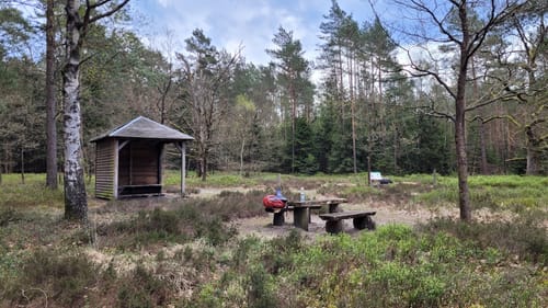 Heidschnuckenweg Etappe 11: Oberoher Heide - Weesen