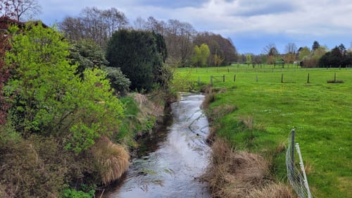 Heidschnuckenweg Etappe 11: Oberoher Heide - Weesen