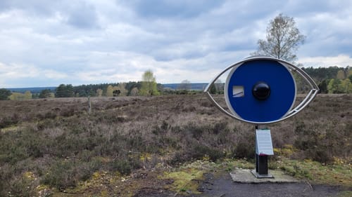 Heidschnuckenweg Etappe 11: Oberoher Heide - Weesen