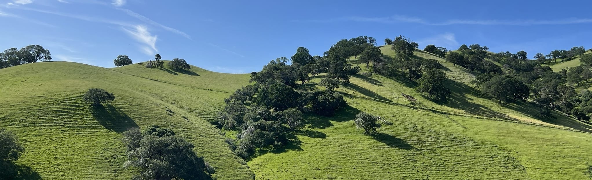 Stewartville, Ridge, Acorn and Old Homestead Loop Trail 267 Reviews