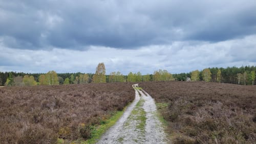 Heidschnuckenweg Etappe 13: Dehningshof - Residenzstadt Celle