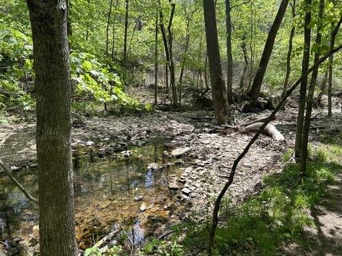 Best Hikes and Trails in Powder Valley Conservation Nature Center