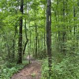 Evergreen Nature Preserve Loop, North Carolina - 717 Reviews, Map ...