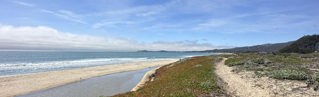 are dogs allowed in half moon bay beach