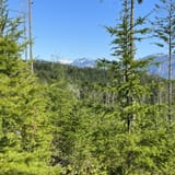 Tokul East Loop, Washington - 64 Reviews, Map | AllTrails