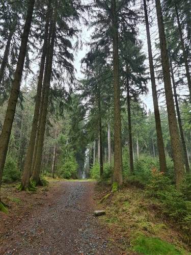 Geyerscher Wald - Hermannsdorfer Wiesen