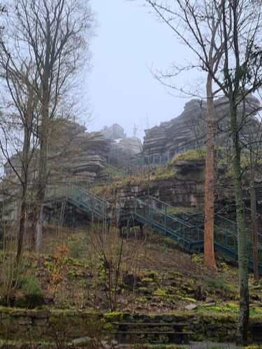 Geyerscher Wald - Hermannsdorfer Wiesen