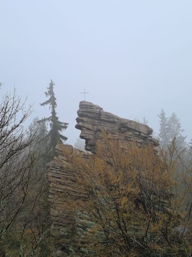 Geyerscher Wald - Hermannsdorfer Wiesen