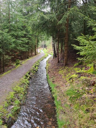 Geyerscher Wald - Hermannsdorfer Wiesen