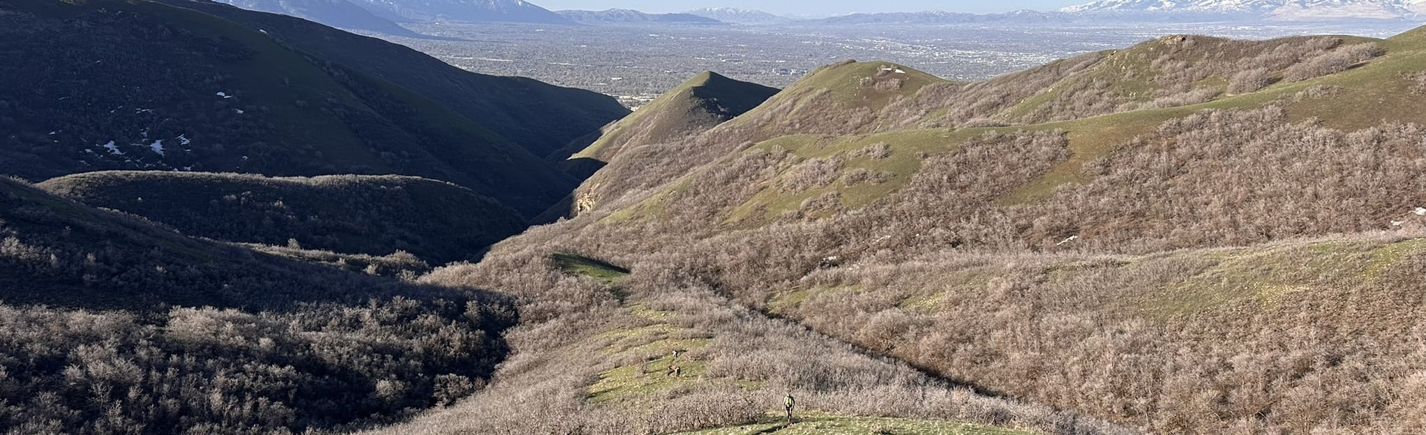 Twin Peaks via Tomahawk Drive, Utah 62 Reviews, Map AllTrails