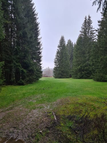 Geyerscher Wald - Hermannsdorfer Wiesen