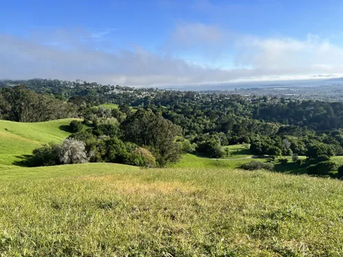 Best 10 Hiking Trails in Wildcat Canyon Regional Park | AllTrails