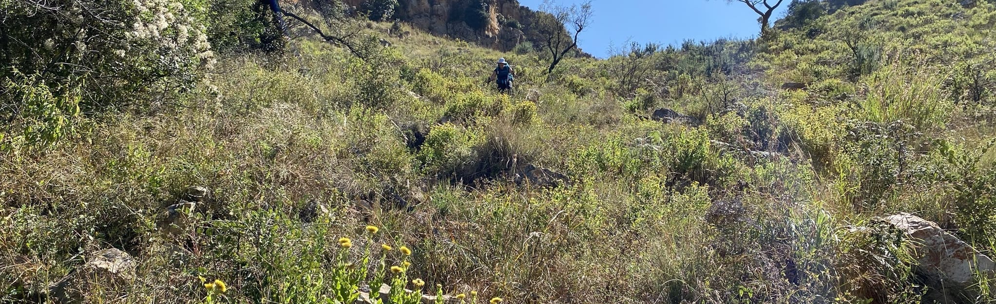 Rustig Hiking Trail, Gauteng, South Africa 242 Reviews, Map AllTrails