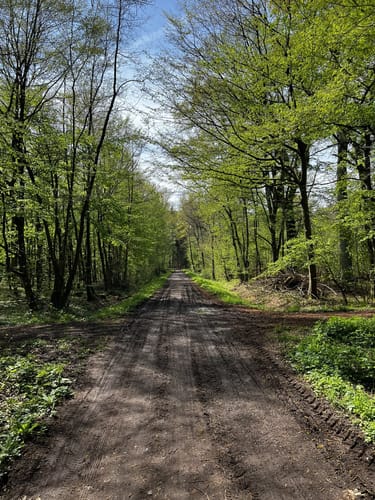 Durch die Queichwiesen nach Friedrichsbühl