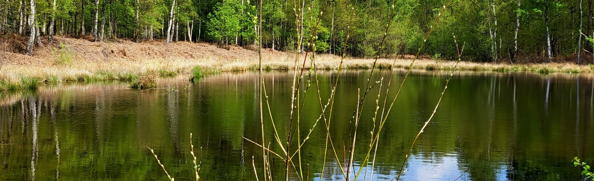 Baudour Loop: 43 Reviews, Map - Hainaut, Belgium | AllTrails
