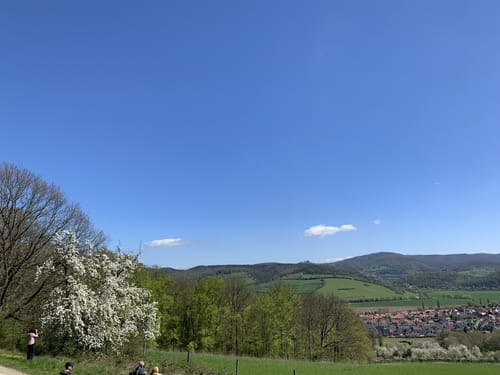 Kirschenweg 1