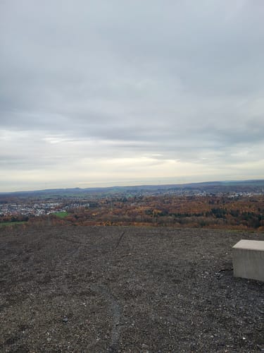 Zum Saarpolygon