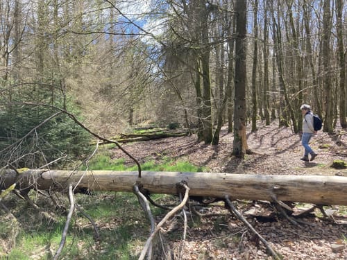 Dreiherrensteinroute