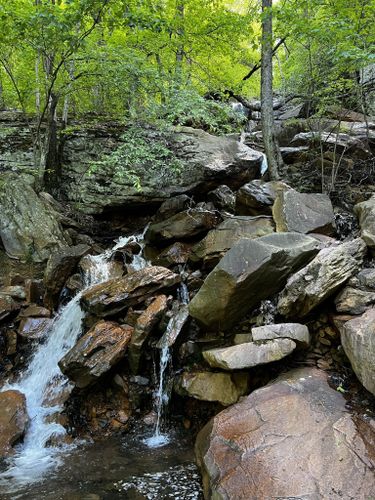 Escape the Ordinary:  Unleash Your Inner Explorer in Tennessee's North Chickamauga Creek Gorge