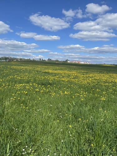 Heroldsberg - Sklavensee - Teufelsbadstube - Jungfernsitz