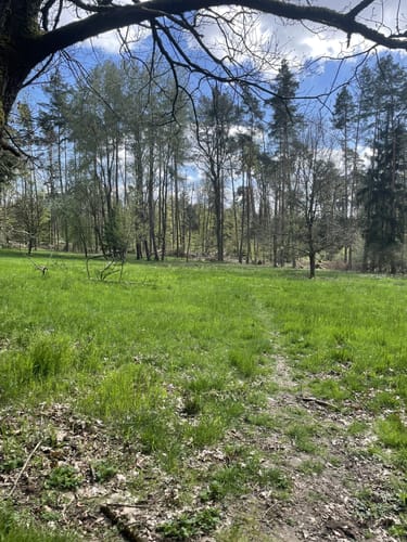 Heroldsberg - Sklavensee - Teufelsbadstube - Jungfernsitz