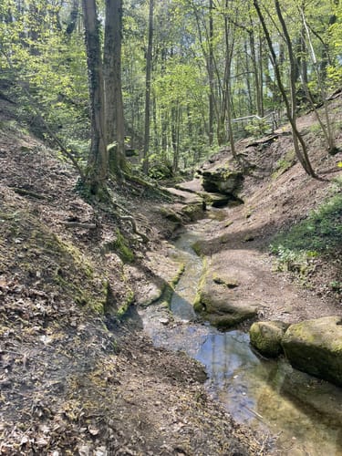 Heroldsberg - Sklavensee - Teufelsbadstube - Jungfernsitz