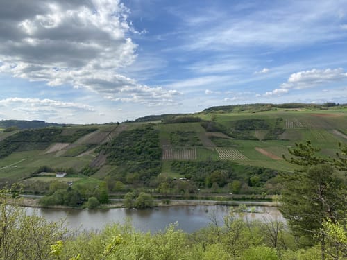 Geheimnisvoller Lemberg (Vitaltour)