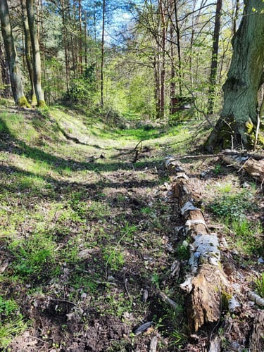 Von Papproth in die Steinitzer Alpen