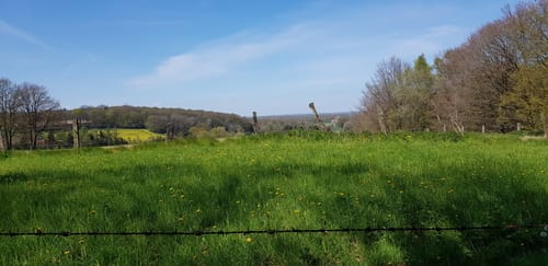 Mettingen: Rundwanderweg M7