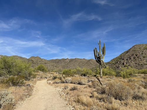 White tank mountain bike trails hotsell