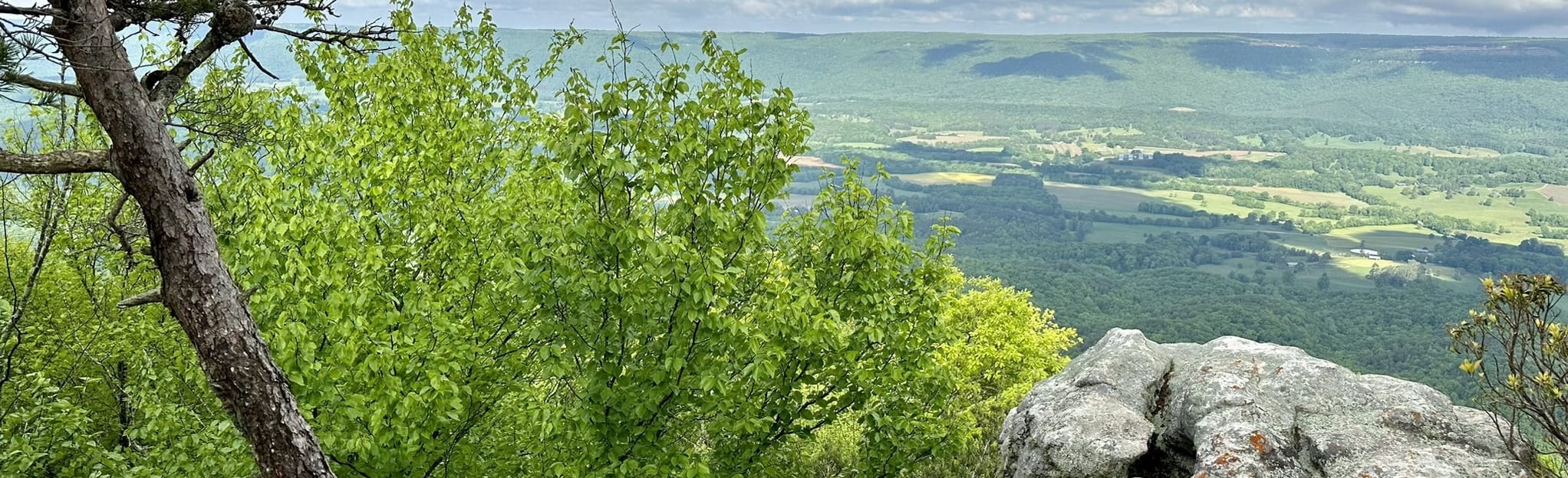 Chamberlain and High Point Trail, Georgia - 43 Reviews, Map | AllTrails