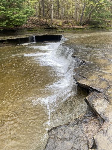 Best Hikes And Trails In Hogback Ridge Metropolitan Park 