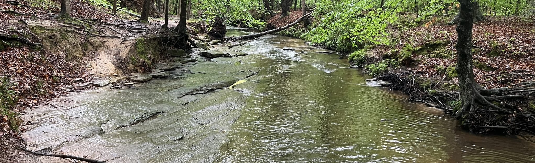 Mine Creek Greenway Sawmill Segment 129 Reviews, Map North Carolina