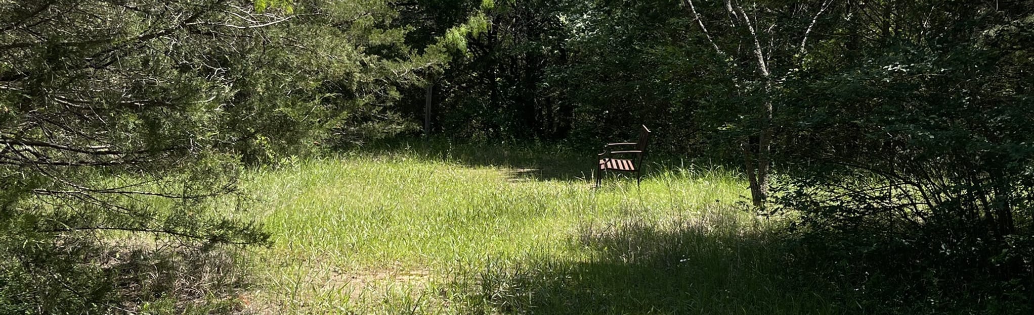 Dupree Park Nature Center Loop 23 Reviews, Map Texas AllTrails