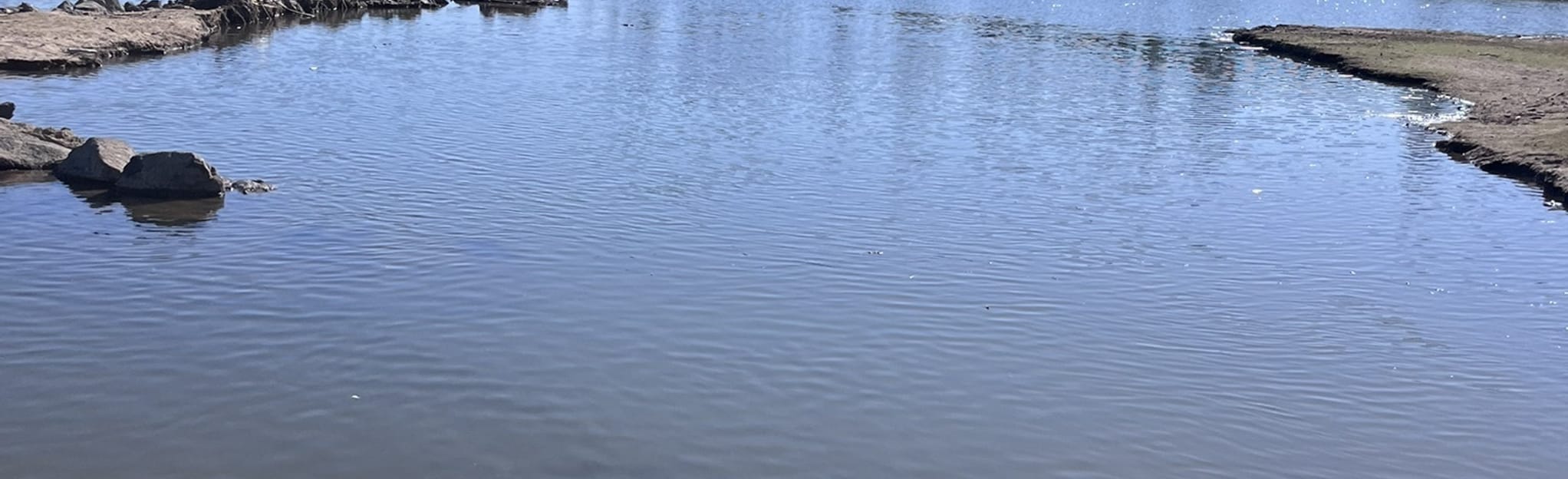 Phoenix Reservoir Trail, California 35 Reviews, Map AllTrails