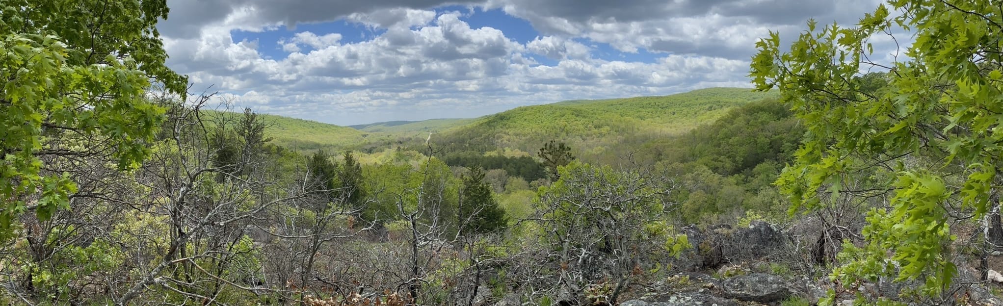 Royal Natural Area Trail, Missouri 100 Reviews, Map AllTrails