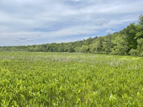 Best Hikes and Trails in Point of Rocks Park | AllTrails