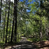 Clear Creek Bicycle Trail Alabama - EyJidWNrZXQiOiJhc3NldHMuYWxsdHJhaWxzLmNvbSIsImtleSI6InVwbG9hZHMvcGhvdG8vaW1hZ2UvNTg5OTU2NjQvYmViY2QxNjQ1MWRiNjUzNWFjMzEzYmZjNmUyNDIxYjIuanBnIiwiZWRpdHMiOnsidG9Gb3JtYXQiOiJqcGVnIiwicmVzaXplIjp7IndpZHRoIjoxNjAsImhlaWdodCI6MTYwLCJmaXQiOiJjb3ZlciJ9LCJyb3RhdGUiOm51bGwsImpwZWciOnsidHJlbGxpc1F1YW50aXNhdGlvbiI6dHJ1ZSwib3ZlcnNob290RGVyaW5naW5nIjp0cnVlLCJvcHRpbWlzZVNjYW5zIjp0cnVlLCJxdWFudGlzYXRpb25UYWJsZSI6M319fQ==