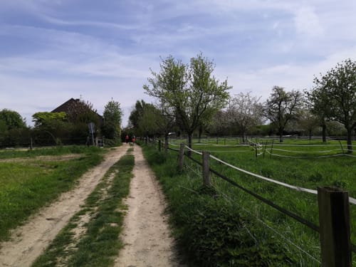 Obstweg Leverkusen