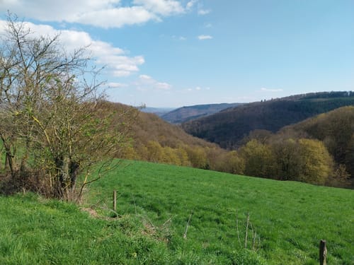Rundwanderweg N3 (Niederbreitbach)