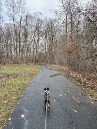 Best Hikes and Trails in Jack Abernathy Regional Park | AllTrails