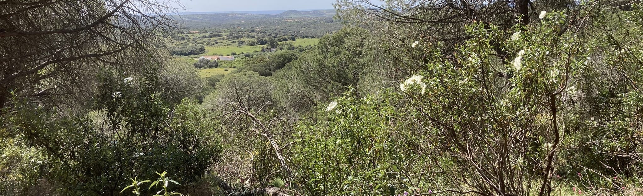 Barão de São João e Mata Nacional de Barão de São João 136 Photos