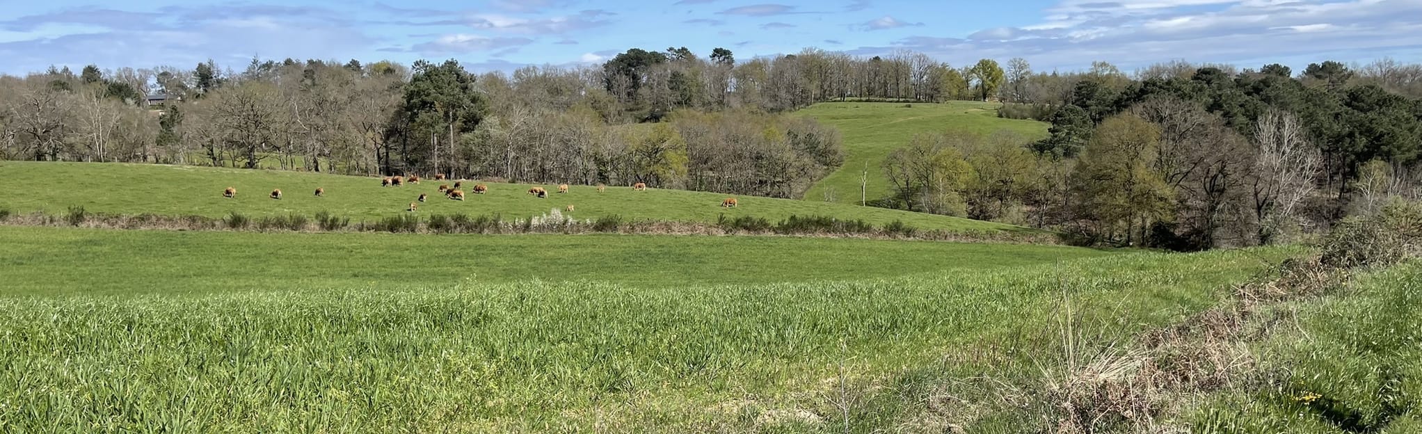 La Dornac and SaintChaubrant 6 Reviews, Map Dordogne, France