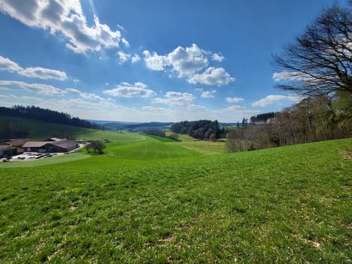 Bad Birnbach - Oberbirnbach Runde