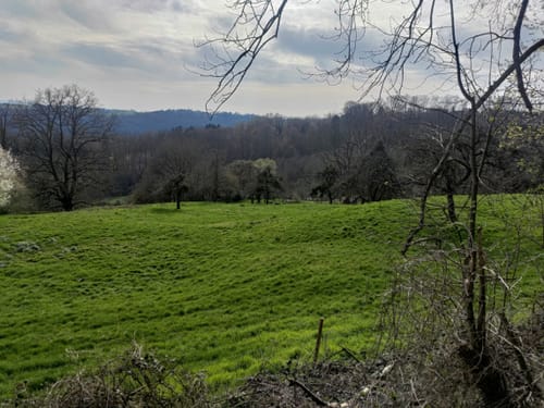 Hasen-Rundweg Alfdorf