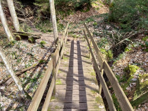 Hasen-Rundweg Alfdorf
