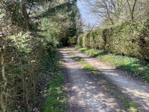 Hasen-Rundweg Alfdorf